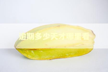 逾期多少天才哪里看