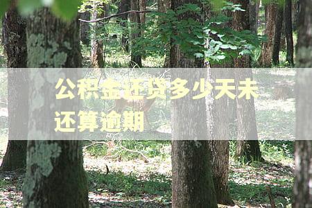 公积金还贷多少天未还算逾期