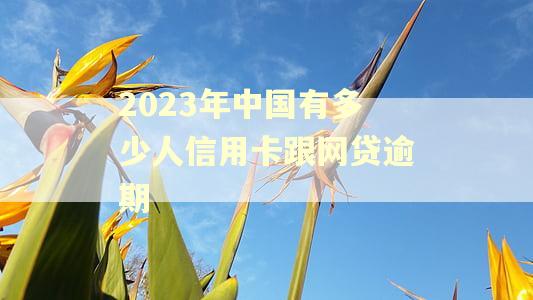 2023年中国有多少人信用卡跟网贷逾期
