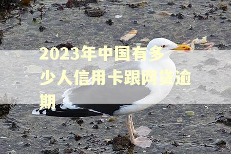 2023年中国有多少人信用卡跟网贷逾期 2023年中国有多少人信用卡跟网贷逾期