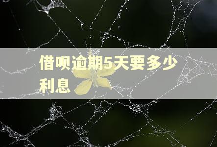 借呗逾期5天要多少利息