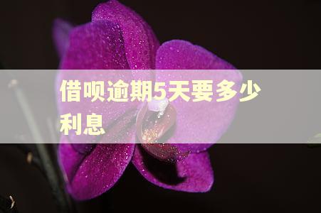 借呗逾期5天要多少利息