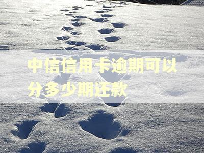 中信信用卡逾期可以分多少期还款