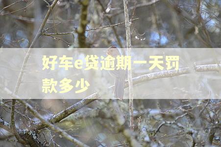好车e贷逾期一天罚款多少