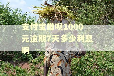 支付宝借呗1000元逾期7天多少利息啊