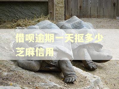 借呗逾期一天抠多少芝麻信用