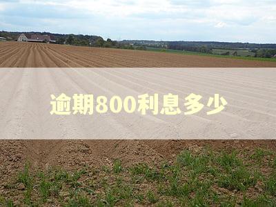 逾期800利息多少