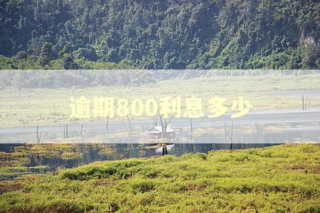 逾期800利息多少