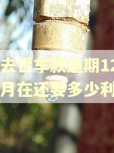 人去世车款逾期12个月在还要多少利息