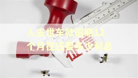 人去世车款逾期12个月在还要多少利息