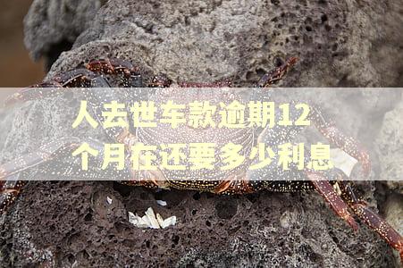 人去世车款逾期12个月在还要多少利息