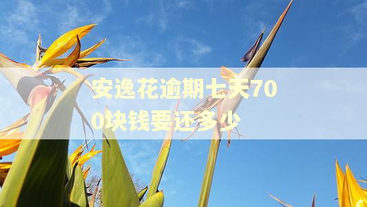 安逸花逾期七天700块钱要还多少