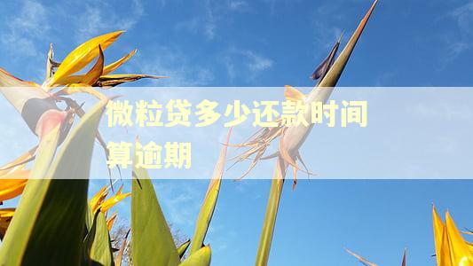 微粒贷多少还款时间算逾期