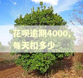 花呗逾期4000,每天扣多少