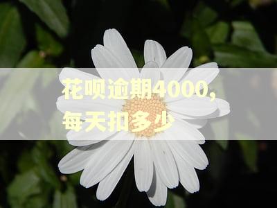 花呗逾期4000,每天扣多少
