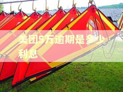 美团5万逾期是多少利息 美团5万逾期是多少利息