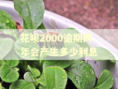 花呗2000逾期两年会产生多少利息