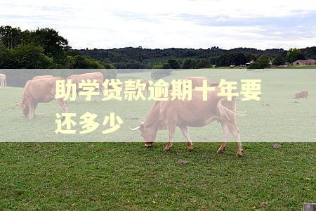 助学贷款逾期十年要还多少