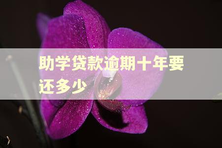 助学贷款逾期十年要还多少