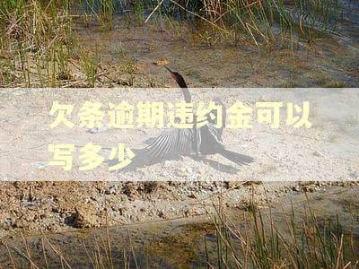 欠条逾期违约金可以写多少