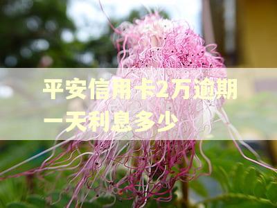 平安信用卡2万逾期一天利息多少