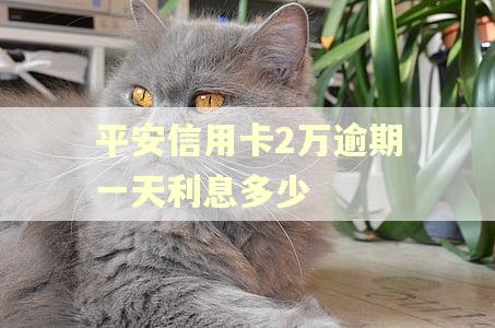 平安信用卡2万逾期一天利息多少 平安信用卡2万逾期一天利息多少
