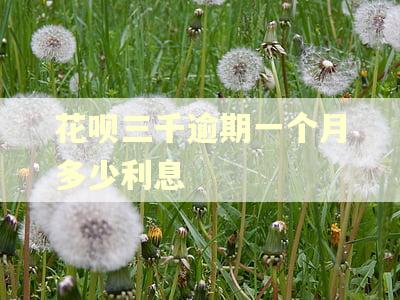 花呗三千逾期一个月多少利息