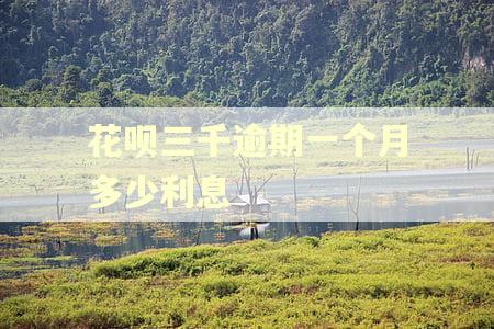 花呗三千逾期一个月多少利息 花呗三千逾期一个月多少利息