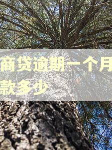 网商贷逾期一个月会罚款多少