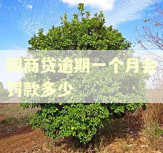 网商贷逾期一个月会罚款多少