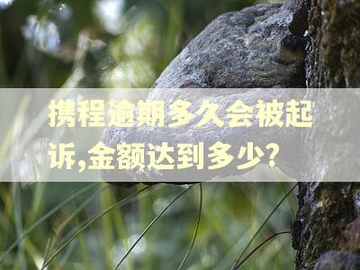 携程逾期多久会被起诉,金额达到多少?