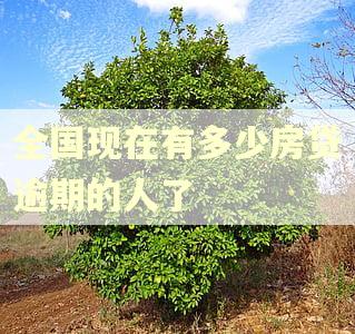 全国现在有多少房贷逾期的人了