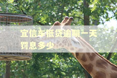 宜信车抵贷逾期一天罚息多少