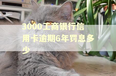 3000工商银行信用卡逾期6年罚息多少