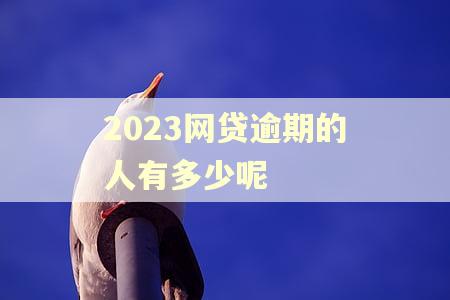 2023网贷逾期的人有多少呢