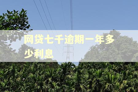 网贷七千逾期一年多少利息