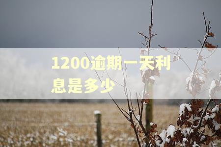 1200逾期一天利息是多少