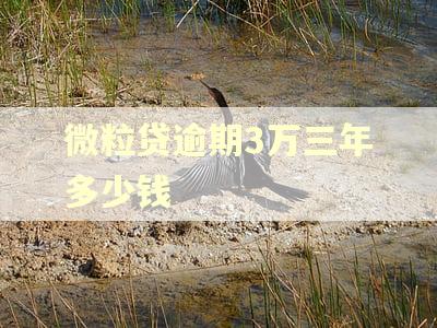 微粒贷逾期3万三年多少钱