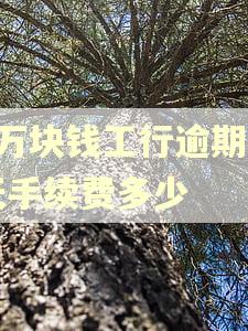 3万块钱工行逾期一天手续费多少