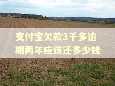 支付宝欠款3千多逾期两年应该还多少钱