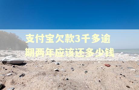支付宝欠款3千多逾期两年应该还多少钱 支付宝欠款3千多逾期两年应该还多少钱