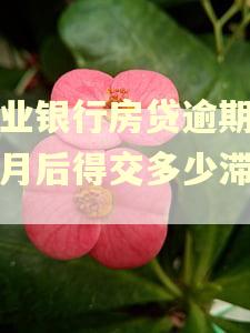 兴业银行房贷逾期3个月后得交多少滞纳金