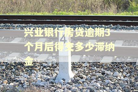 兴业银行房贷逾期3个月后得交多少滞纳金