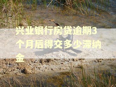 兴业银行房贷逾期3个月后得交多少滞纳金 兴业银行房贷逾期3个月后得交多少滞纳金