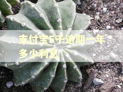 支付宝5千逾期一年多少利息