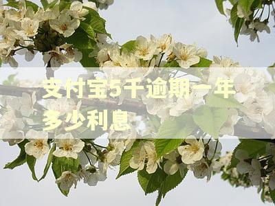 支付宝5千逾期一年多少利息