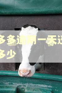 桔多多逾期一天违约金多少