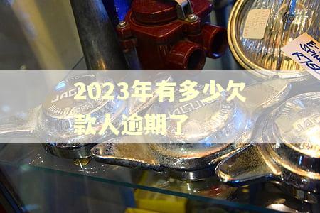2023年有多少欠款人逾期了