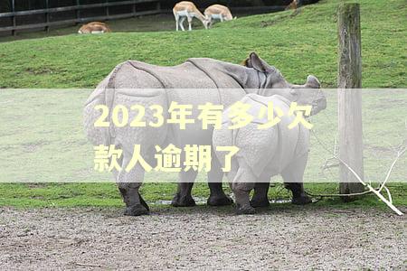 2023年有多少欠款人逾期了