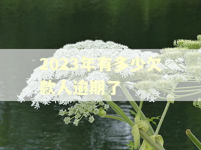 2023年有多少欠款人逾期了 2023年有多少欠款人逾期了